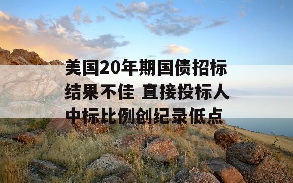 美国20年期国债招标结果不佳 直接投标人中标比例创纪录低点