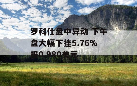 罗科仕盘中异动 下午盘大幅下挫5.76%报0.980美元