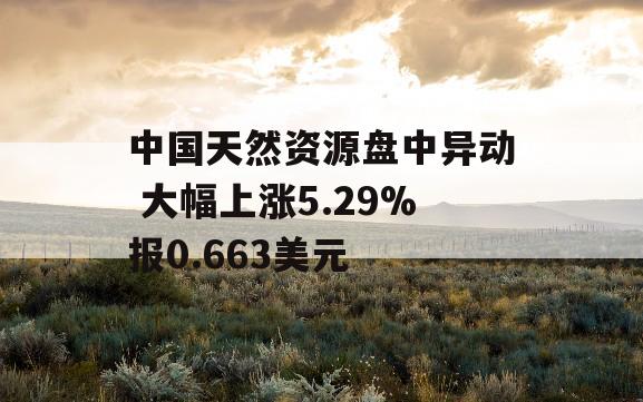 中国天然资源盘中异动 大幅上涨5.29%报0.663美元